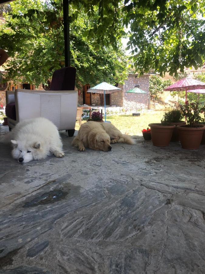 Zirkon Doga Butik Otel Fethiye Extérieur photo