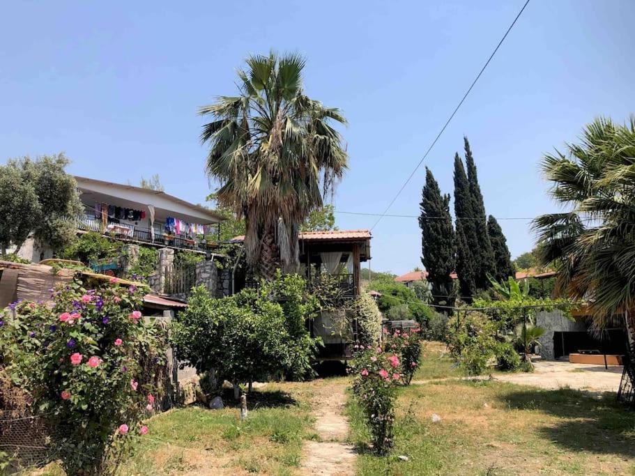 Zirkon Doga Butik Otel Fethiye Extérieur photo